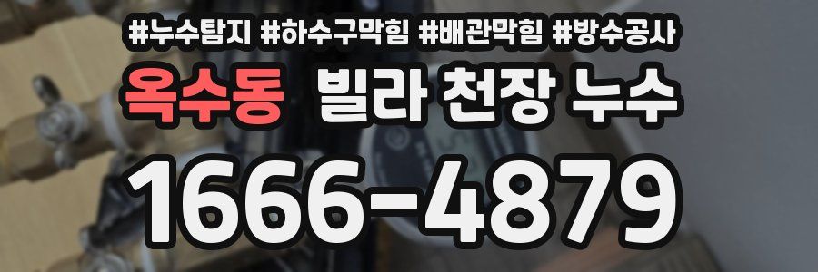 옥수동 빌라 천장 누수
