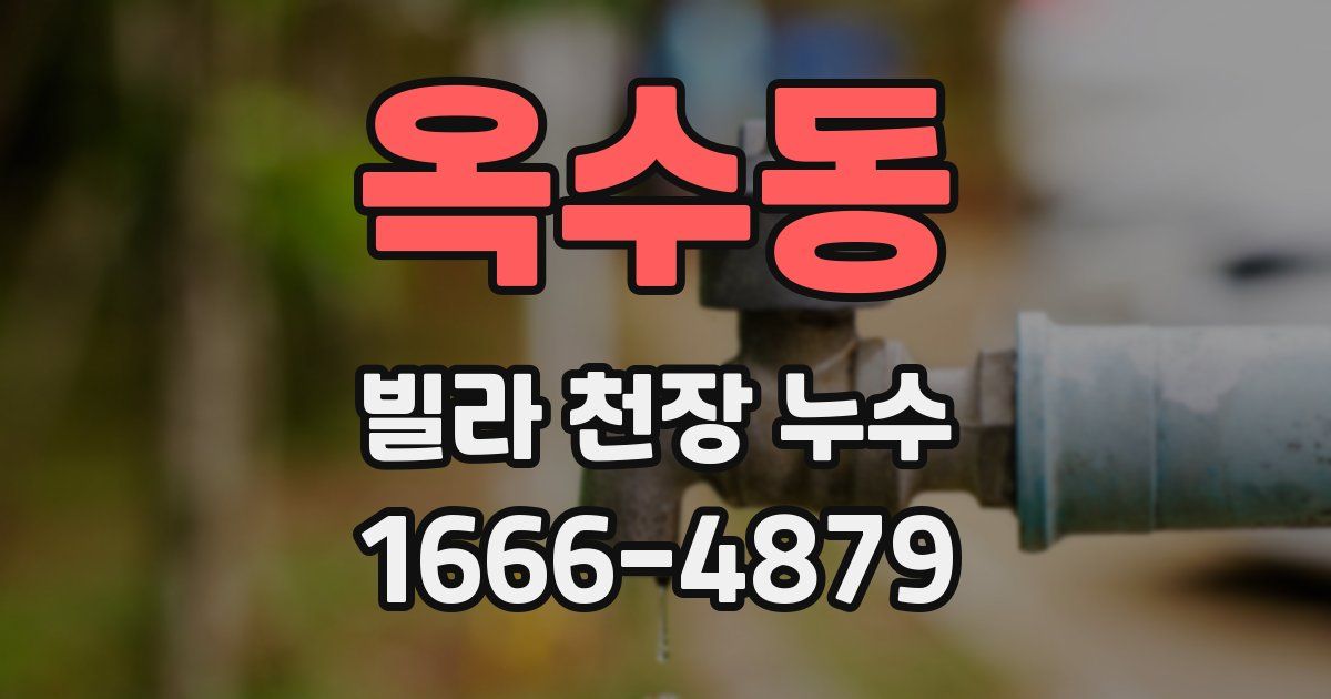 옥수동 빌라 천장 누수