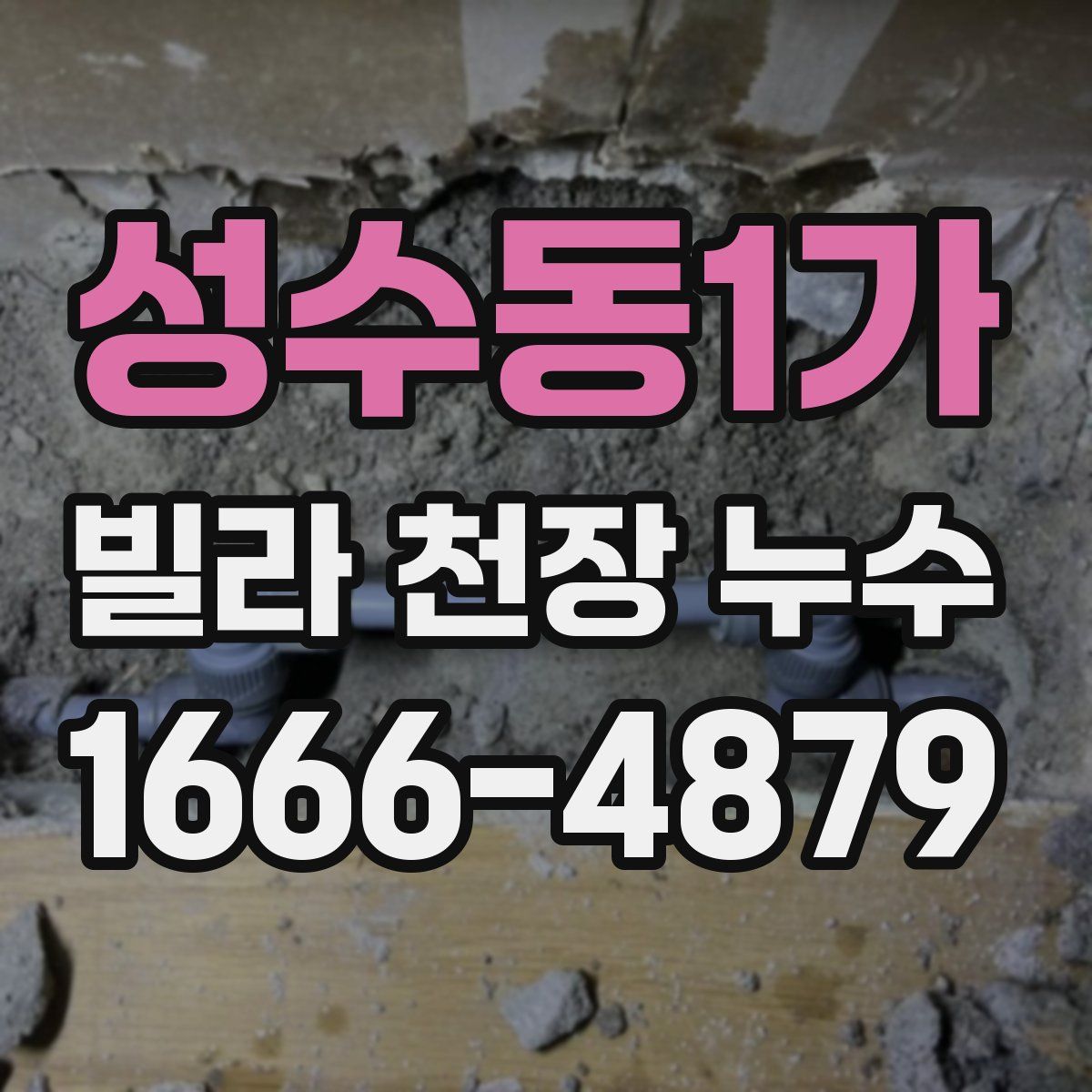 성수동1가 빌라 천장 누수