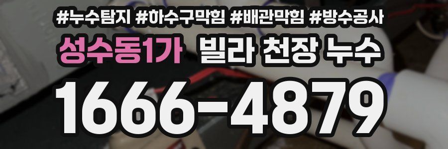 성수동1가 빌라 천장 누수