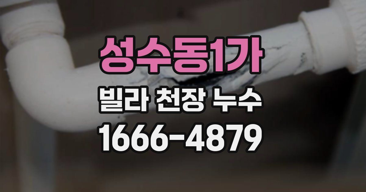 성수동1가 빌라 천장 누수