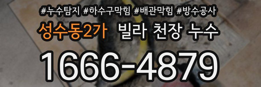 성수동2가 빌라 천장 누수