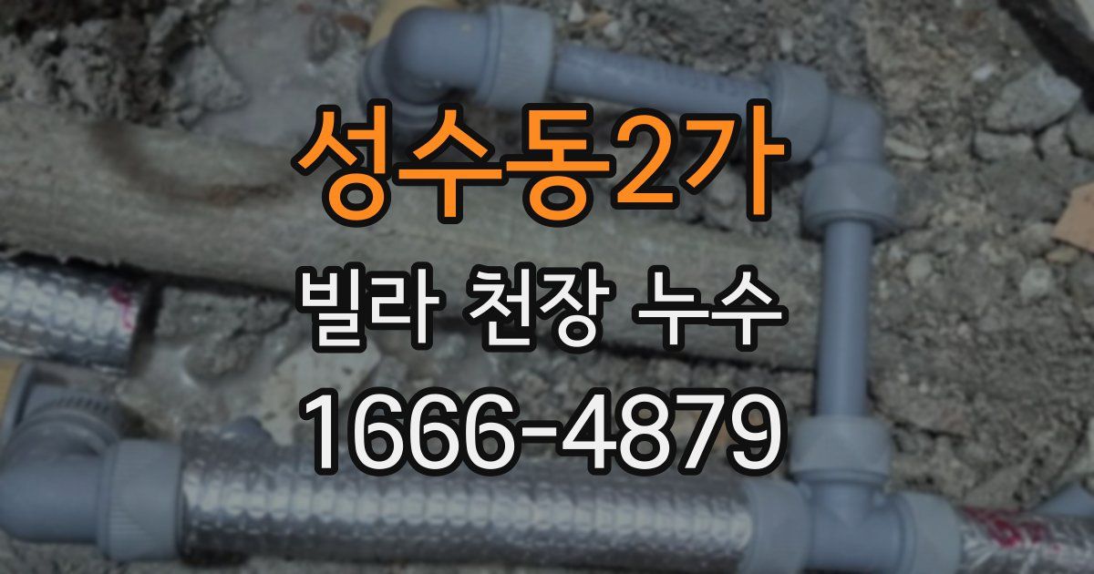 성수동2가 빌라 천장 누수
