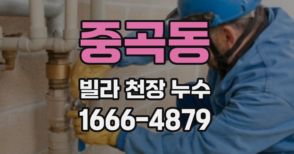 중곡동 빌라 천장 누수