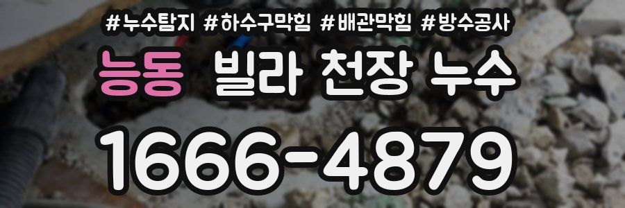 능동 빌라 천장 누수