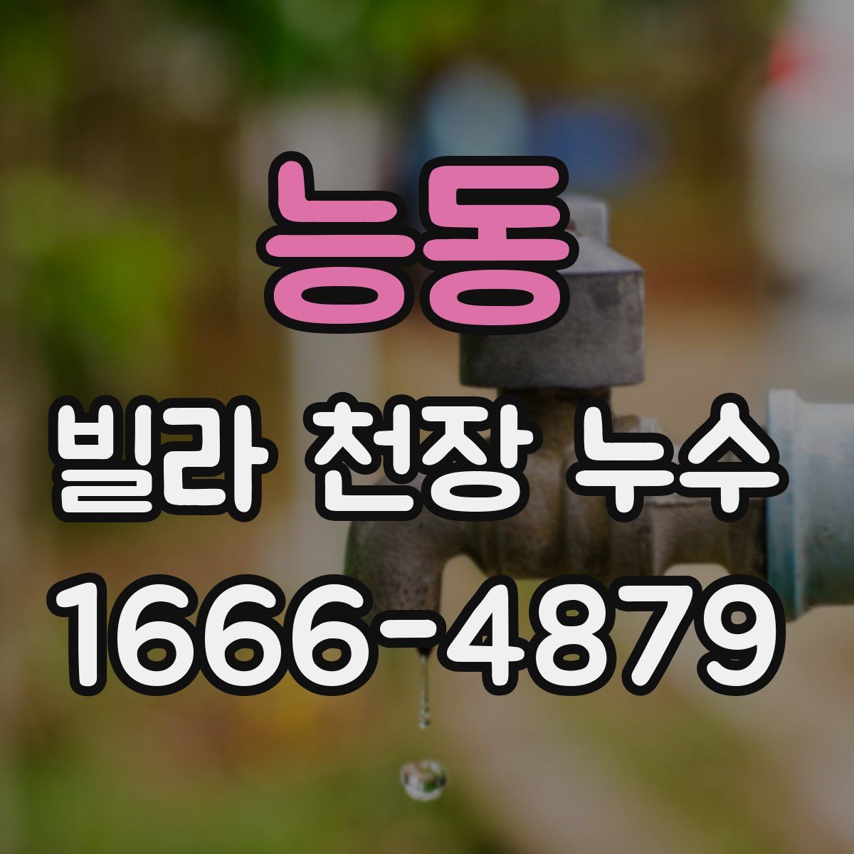 능동 빌라 천장 누수