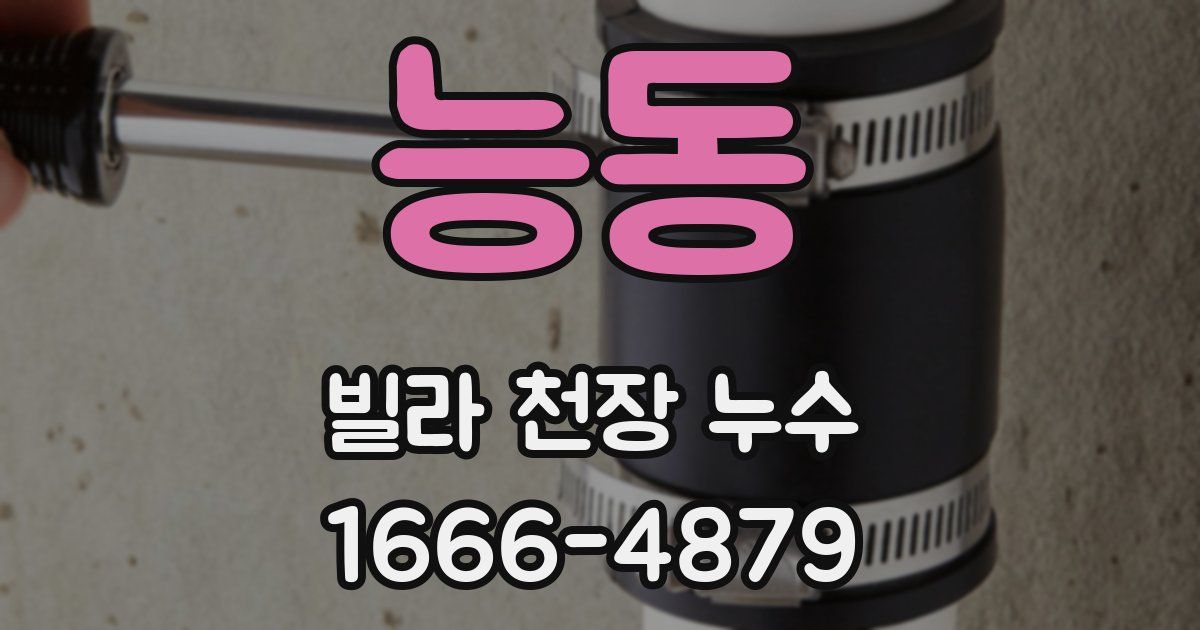 능동 빌라 천장 누수