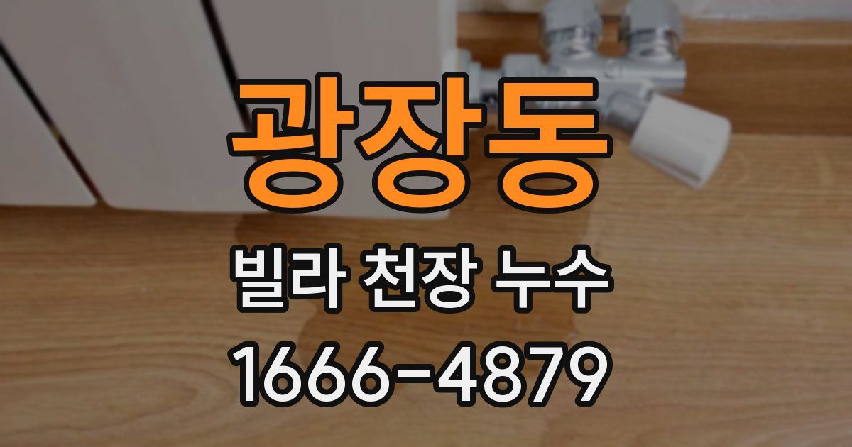 광장동 빌라 천장 누수