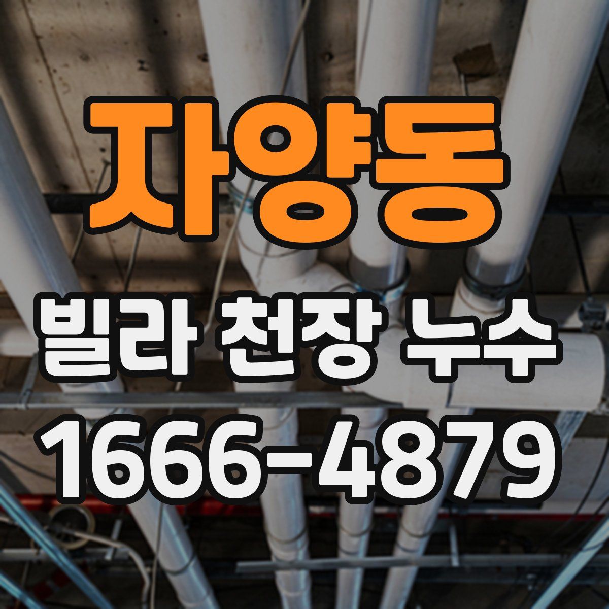 자양동 빌라 천장 누수