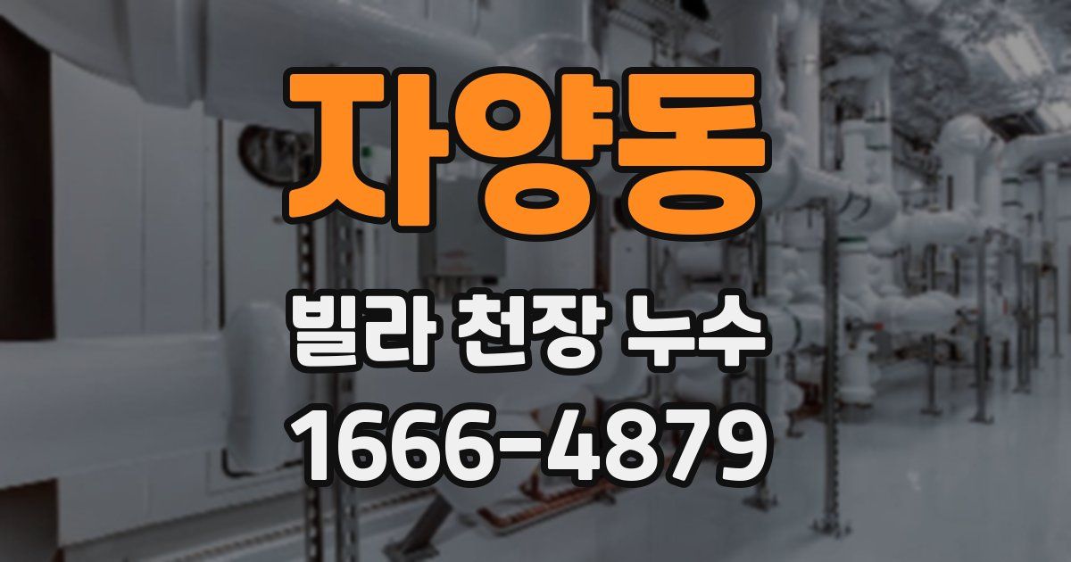 자양동 빌라 천장 누수
