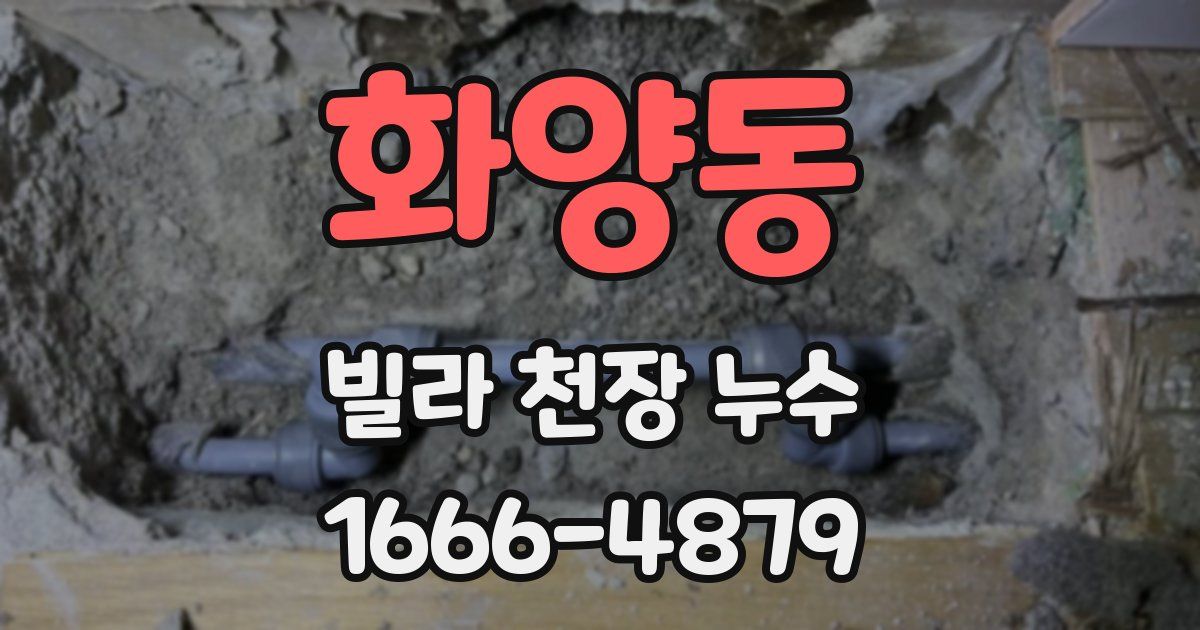 화양동 빌라 천장 누수