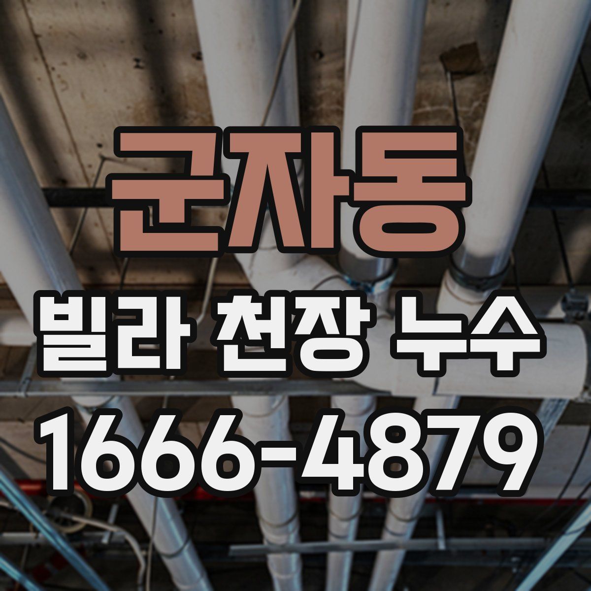 군자동 빌라 천장 누수