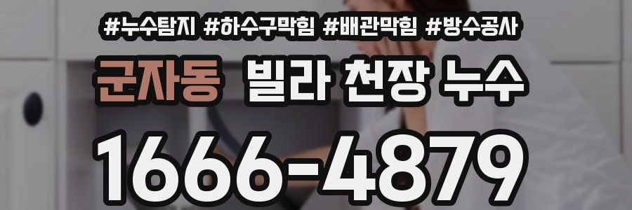 군자동 빌라 천장 누수