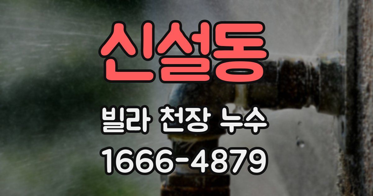 신설동 빌라 천장 누수