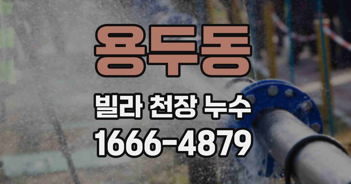 용두동 빌라 천장 누수