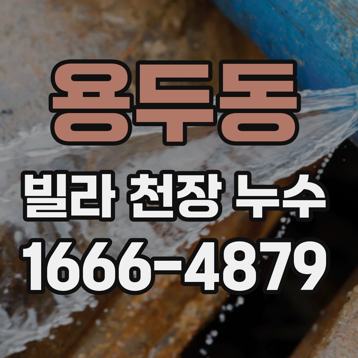 용두동 빌라 천장 누수