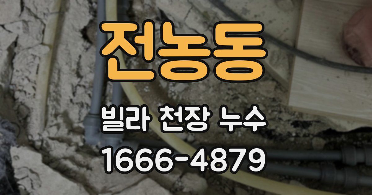 전농동 빌라 천장 누수