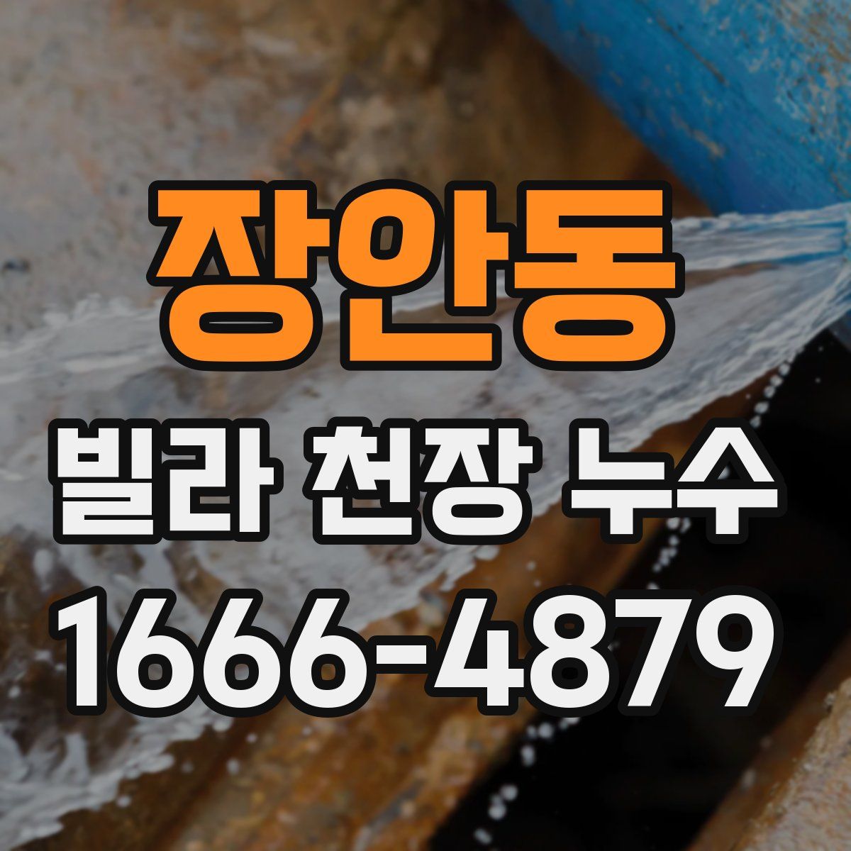 장안동 빌라 천장 누수
