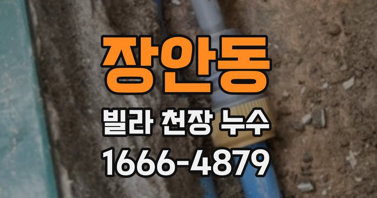 장안동 빌라 천장 누수