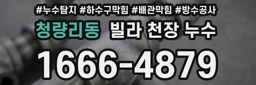 청량리동 빌라 천장 누수