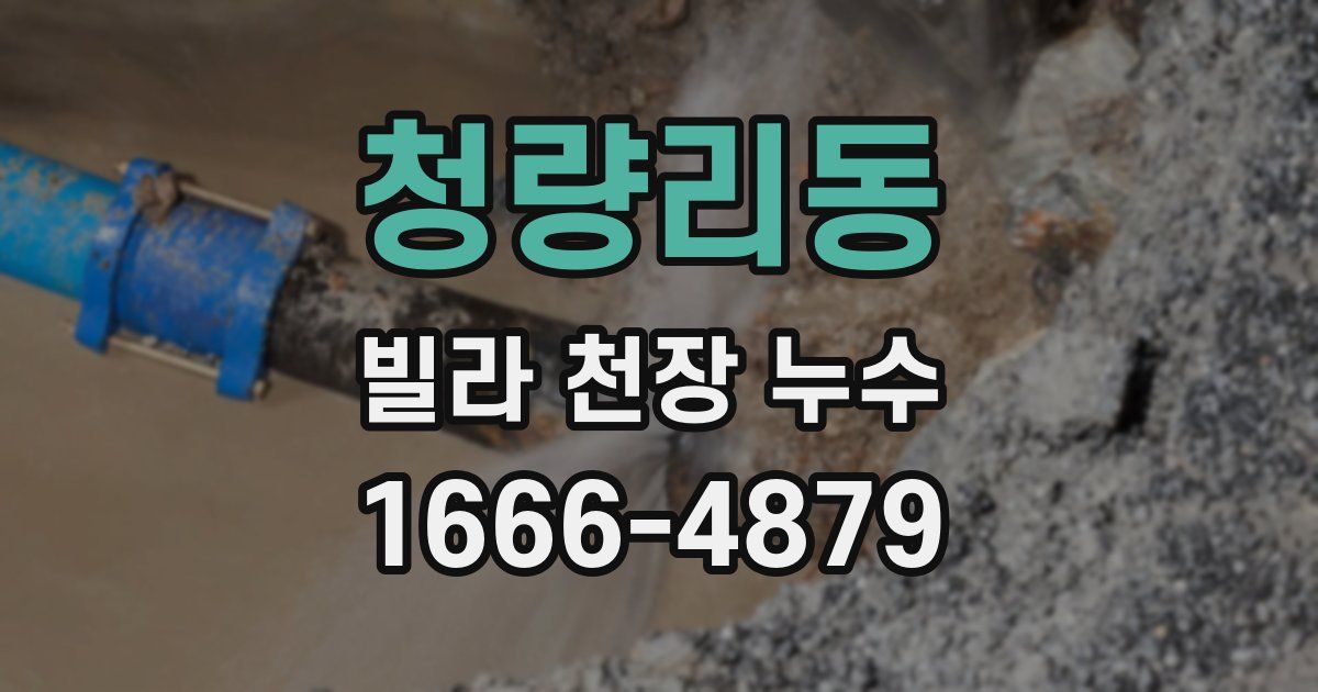 청량리동 빌라 천장 누수