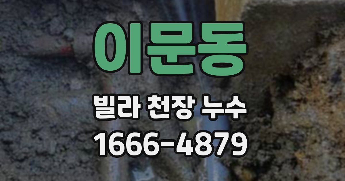 이문동 빌라 천장 누수
