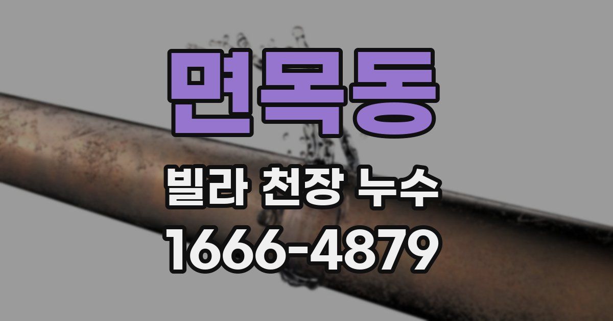 면목동 빌라 천장 누수
