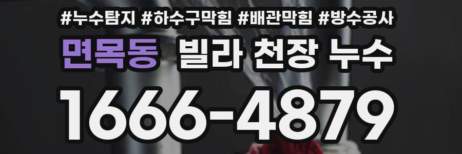 면목동 빌라 천장 누수