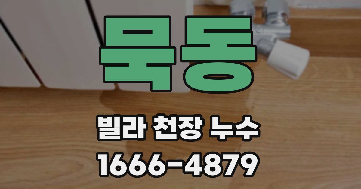묵동 빌라 천장 누수