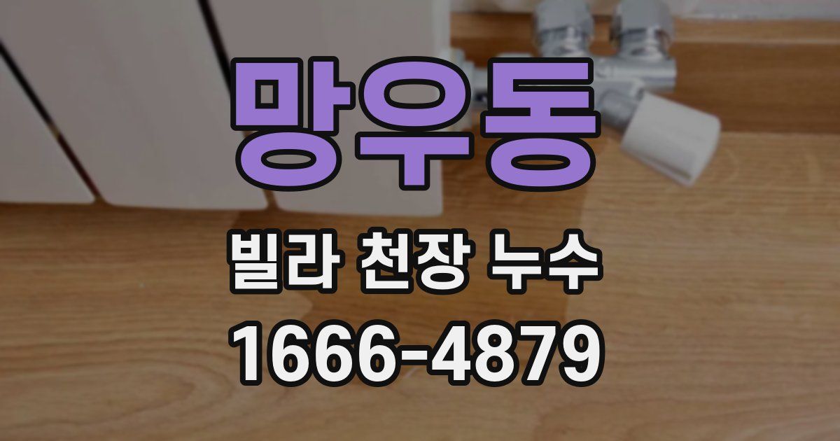망우동 빌라 천장 누수