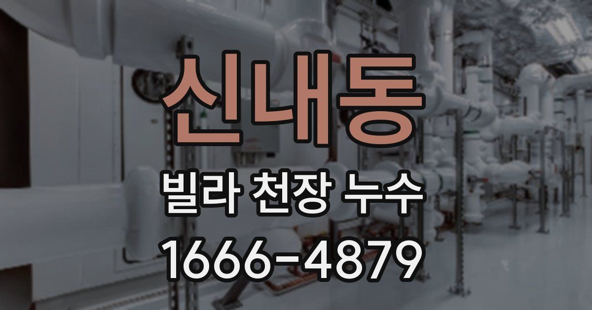 신내동 빌라 천장 누수