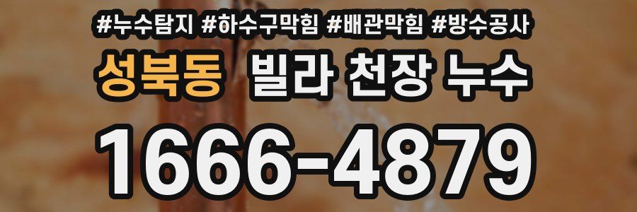 성북동 빌라 천장 누수