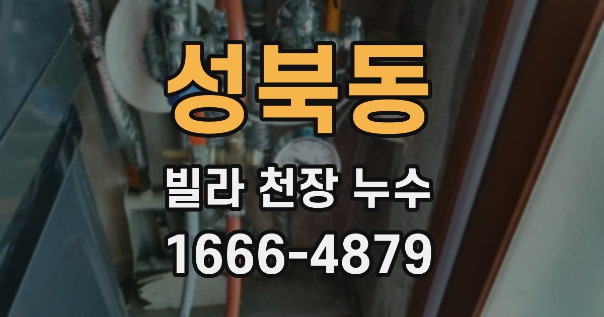 성북동 빌라 천장 누수
