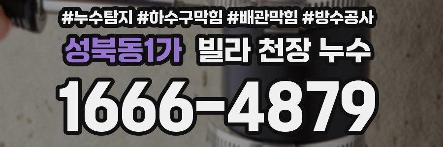 성북동1가 빌라 천장 누수