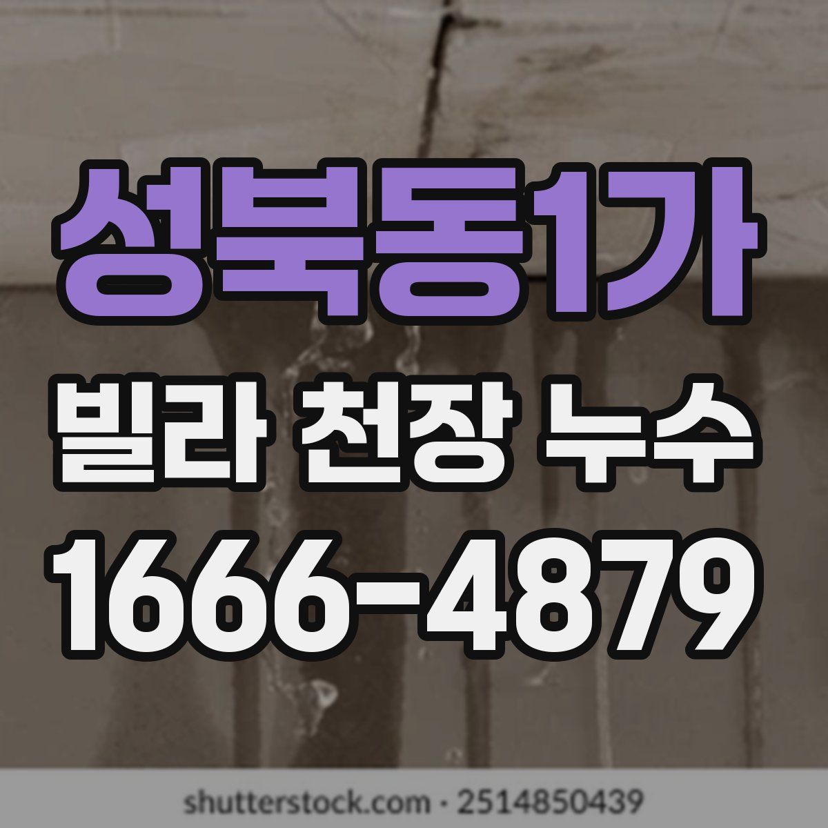 성북동1가 빌라 천장 누수