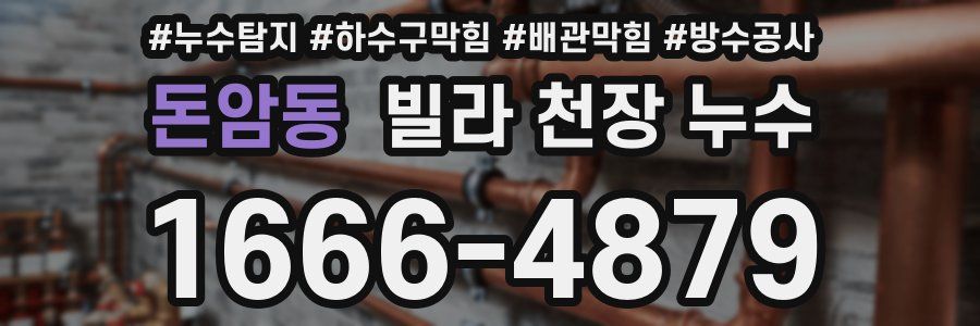돈암동 빌라 천장 누수