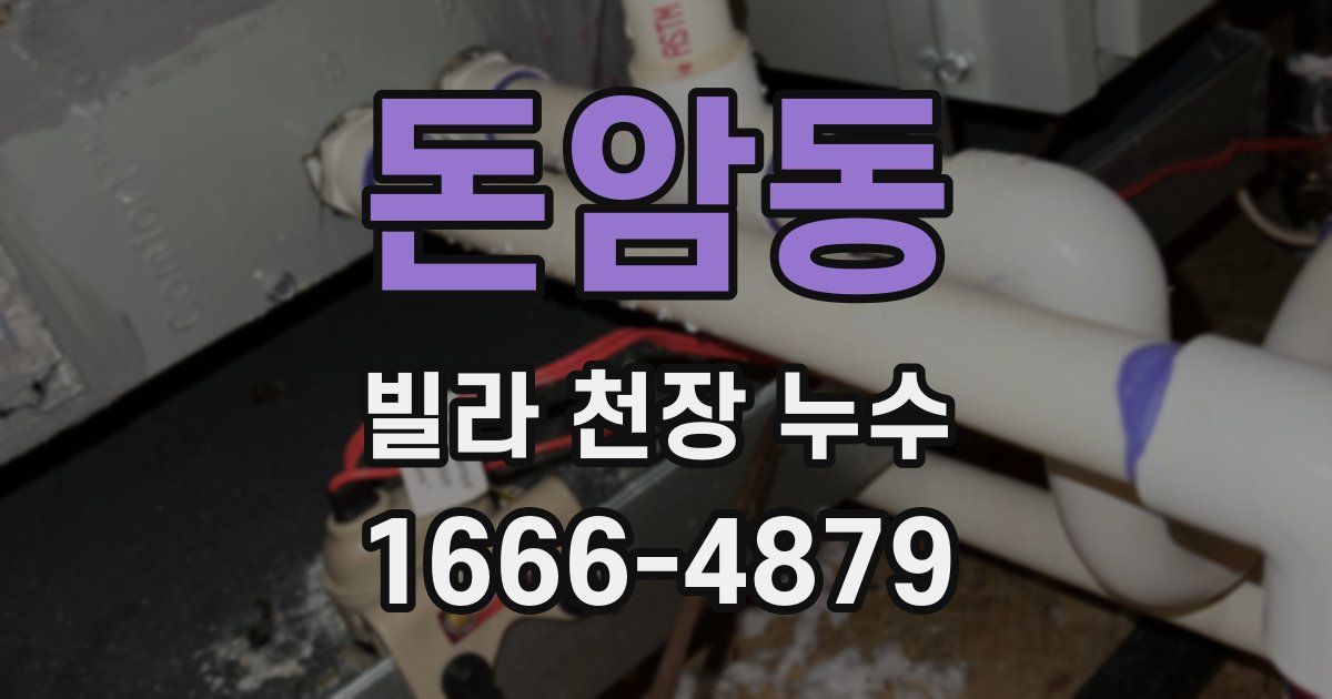 돈암동 빌라 천장 누수