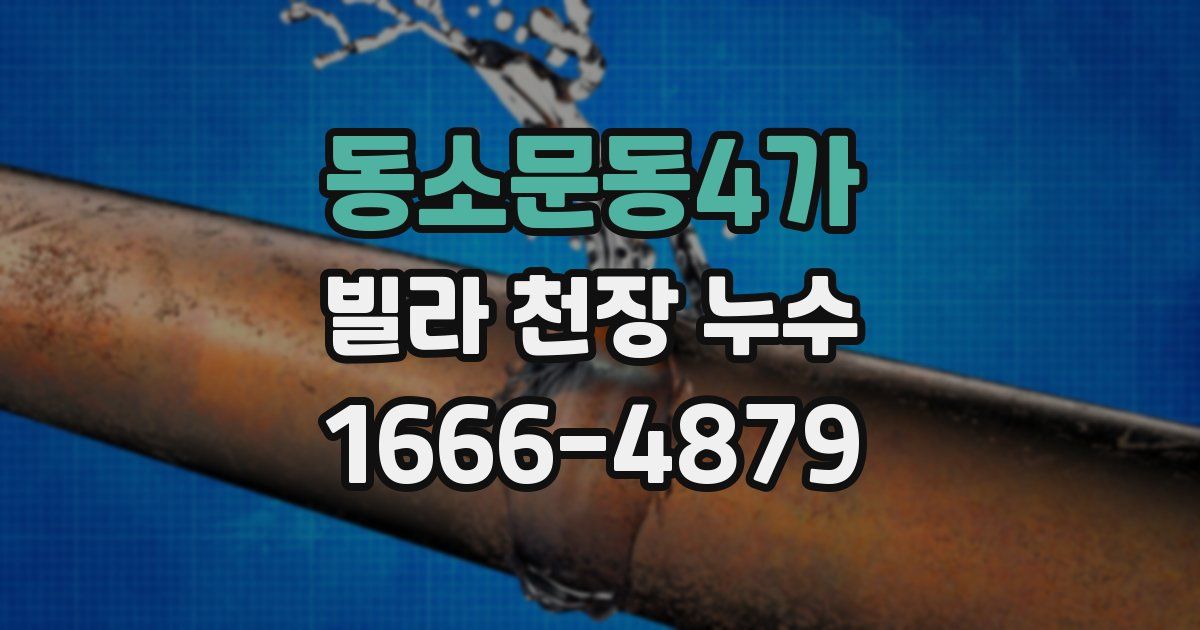 동소문동4가 빌라 천장 누수