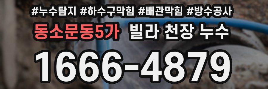 동소문동5가 빌라 천장 누수