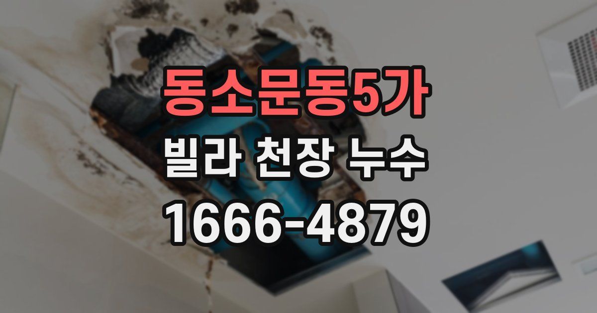 동소문동5가 빌라 천장 누수