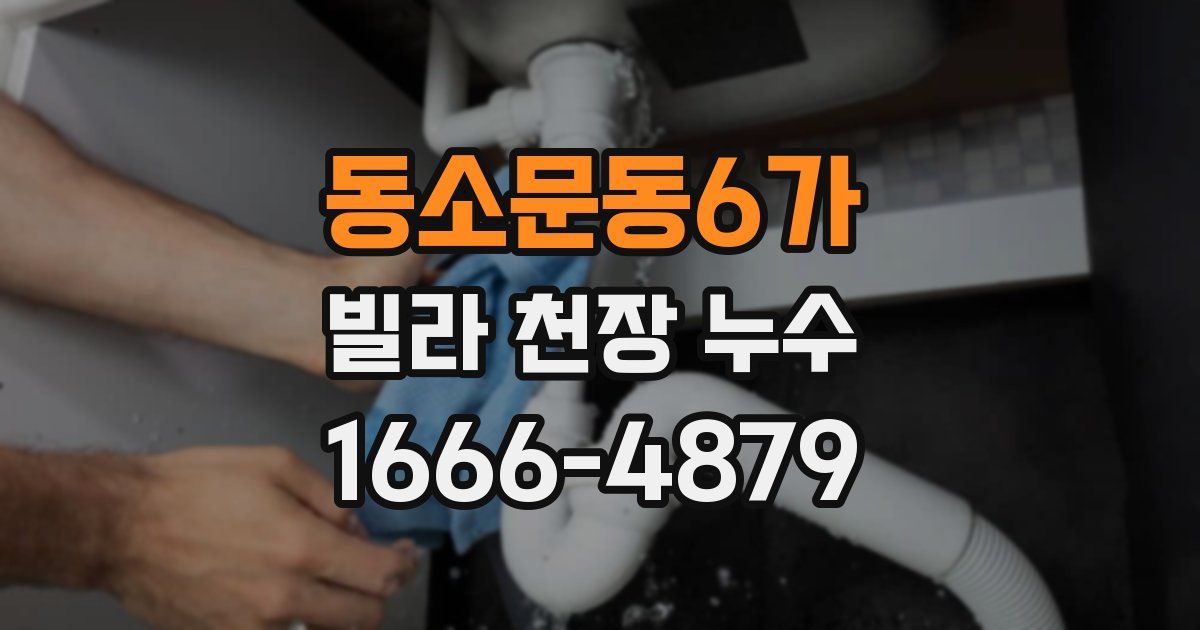 동소문동6가 빌라 천장 누수