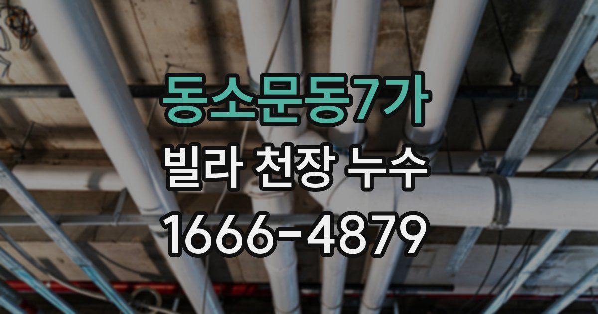 동소문동7가 빌라 천장 누수