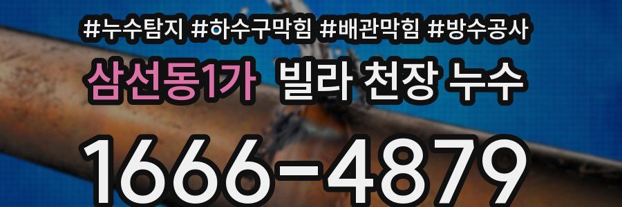 삼선동1가 빌라 천장 누수