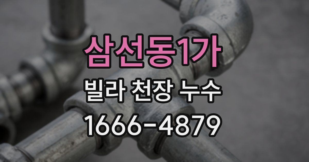 삼선동1가 빌라 천장 누수