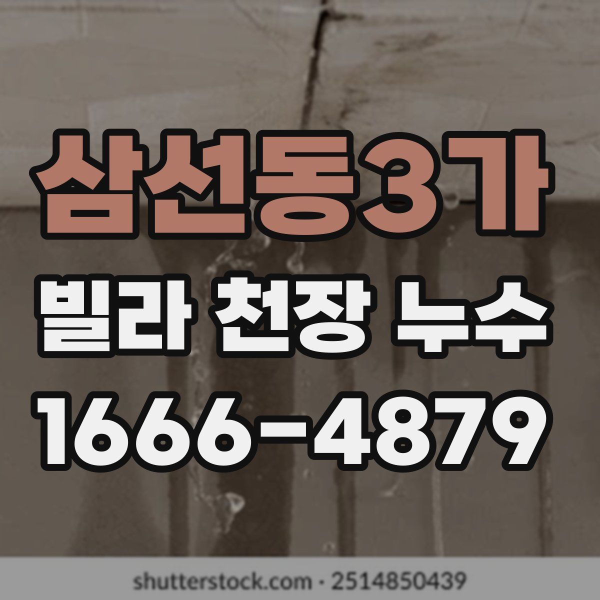 삼선동3가 빌라 천장 누수