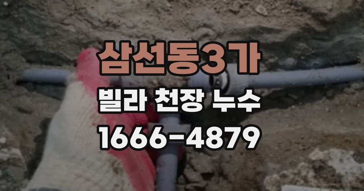 삼선동3가 빌라 천장 누수