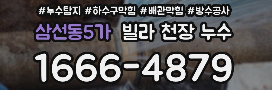 삼선동5가 빌라 천장 누수