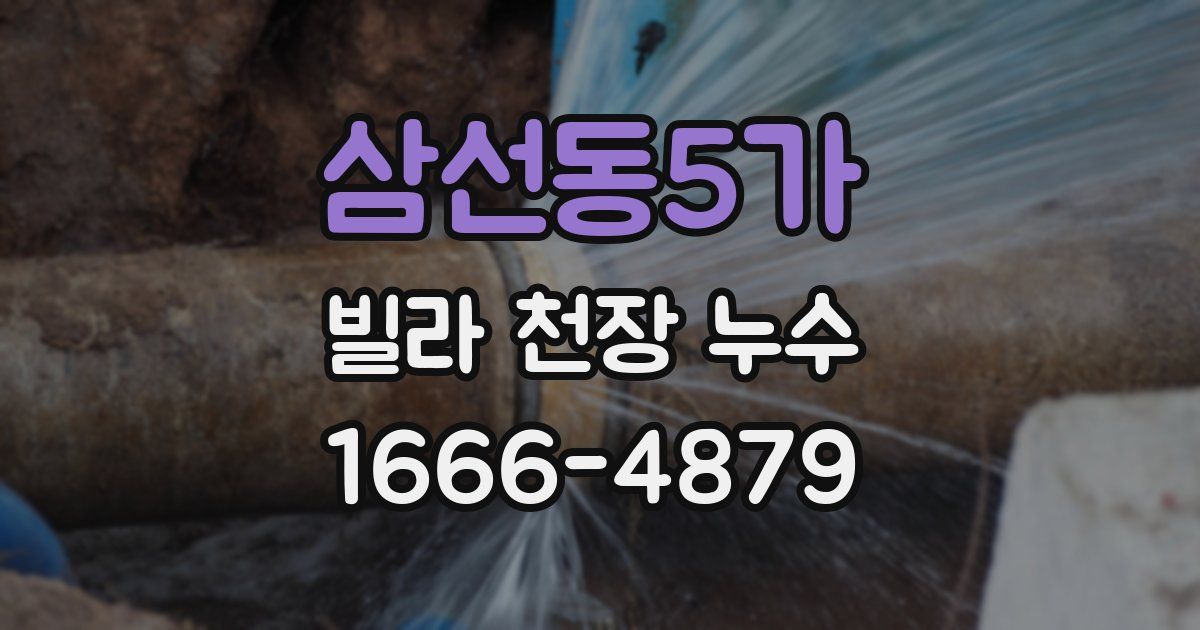 삼선동5가 빌라 천장 누수