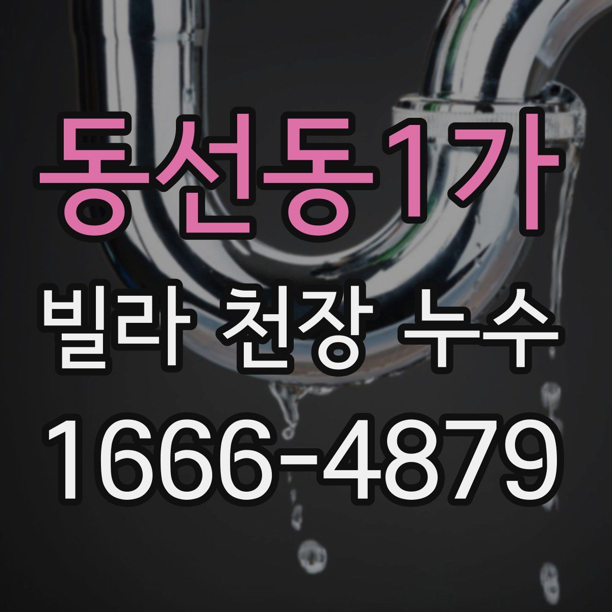 동선동1가 빌라 천장 누수