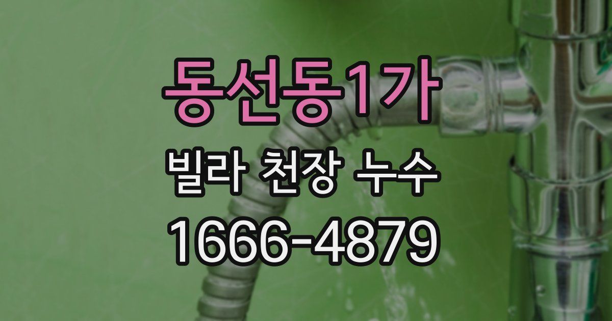 동선동1가 빌라 천장 누수